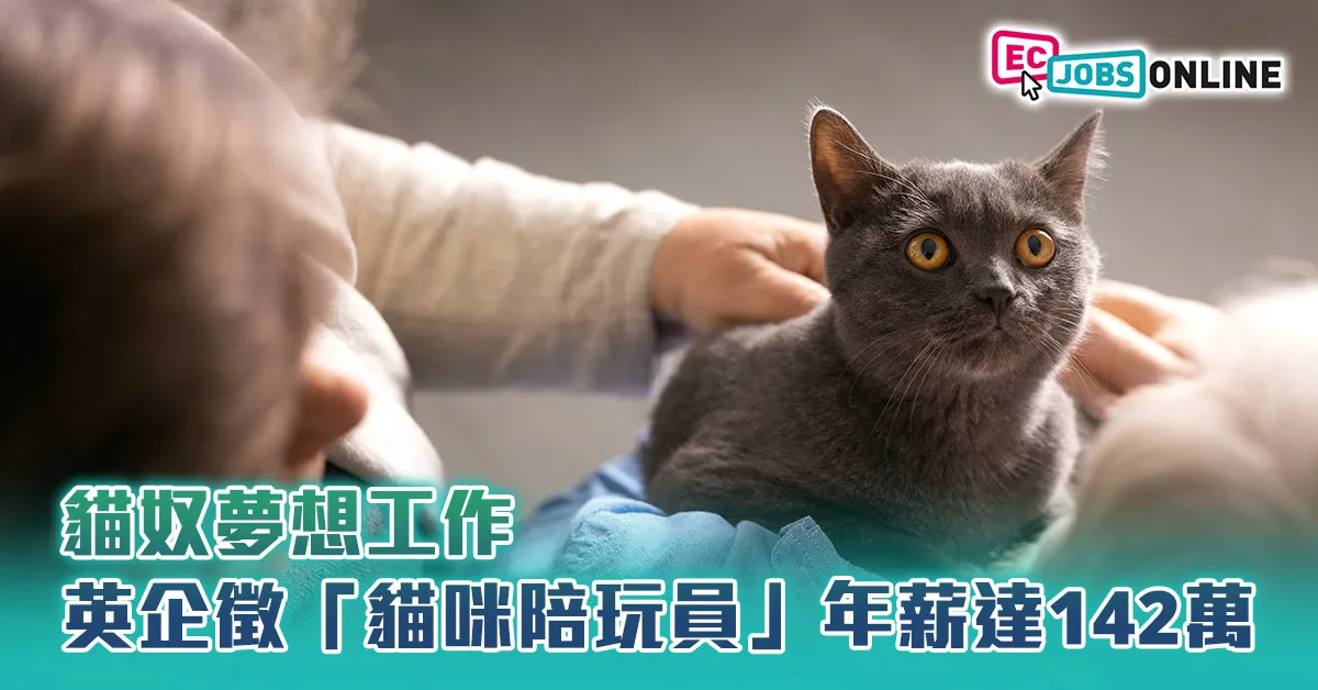【貓奴夢想工作】英企徵「貓咪陪玩員」年薪達142萬